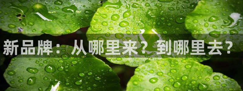 哈尔滨天辰娱乐