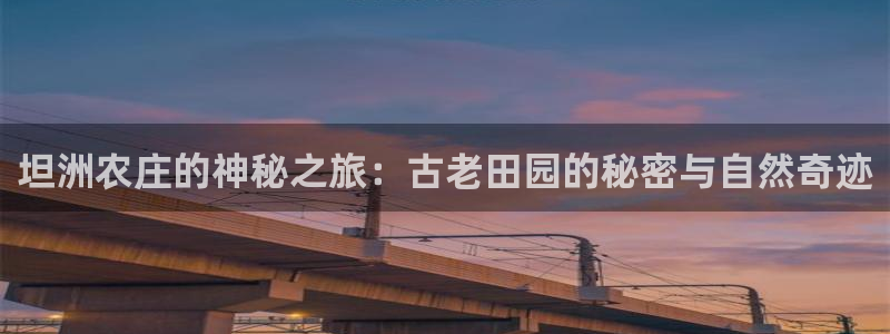 辰天娱乐