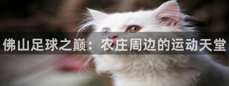 天辰娱乐集团
