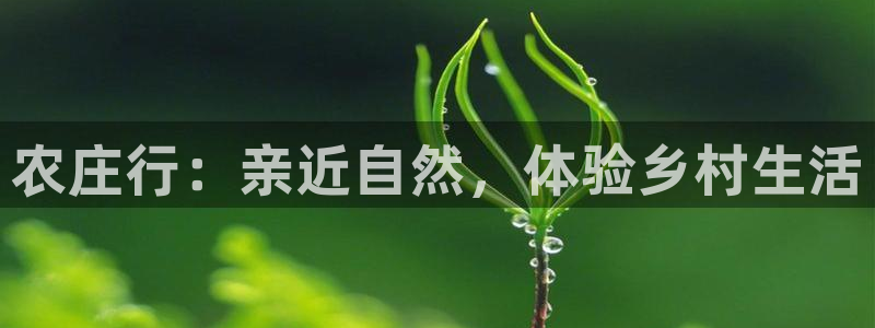 北京天辰娱乐