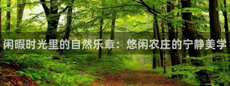 天辰娱乐下载链接