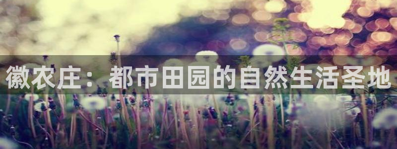 天辰娱乐好吗