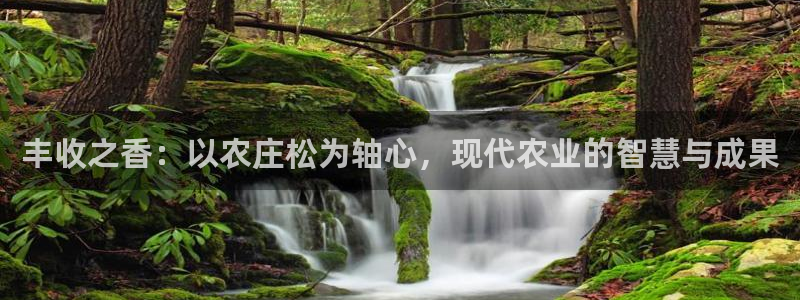 天辰平台娱乐