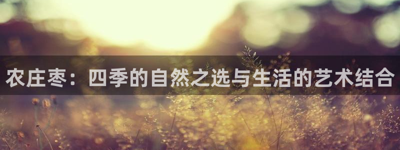 天辰娱乐路线