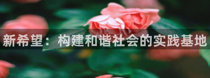 天辰娱乐所