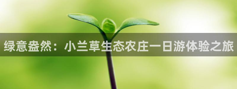 天辰娱乐地址