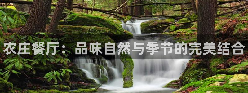 集宁天辰娱乐