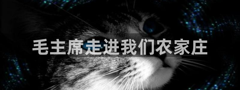 南京天辰娱乐