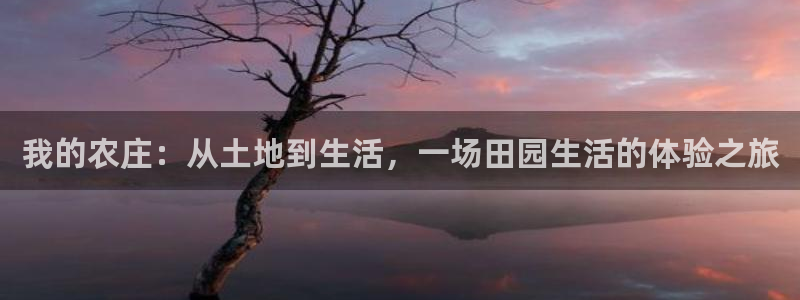 天辰娱乐厕所