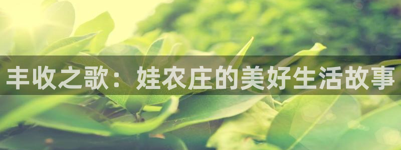 天辰娱乐53551