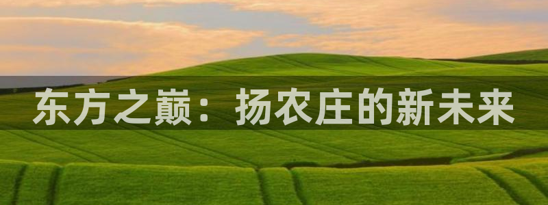 天辰娱乐_675138