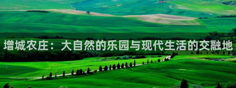 天辰娱乐平台地址在哪里