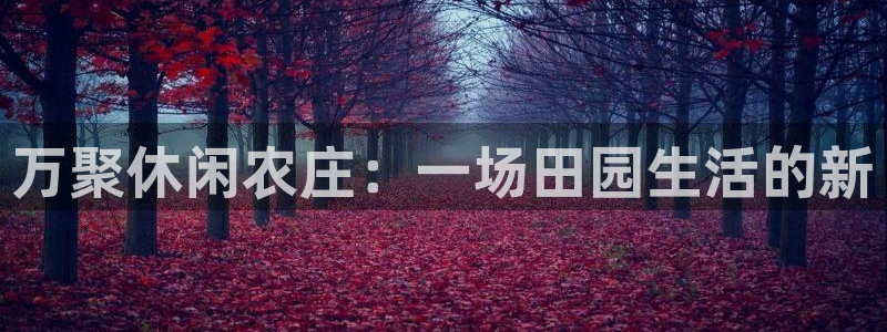 天辰娱乐地址