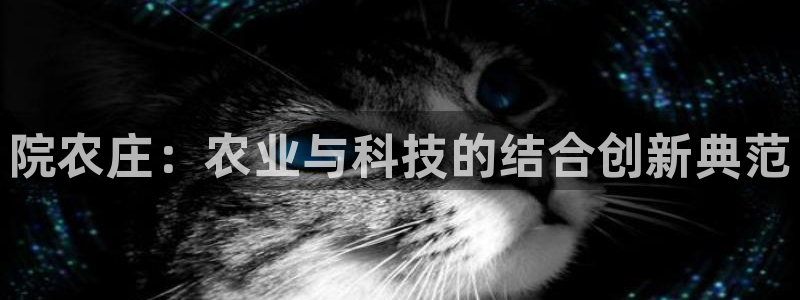天辰娱乐视频