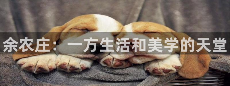天辰a娱乐