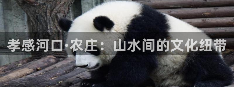 天辰娱乐黑人