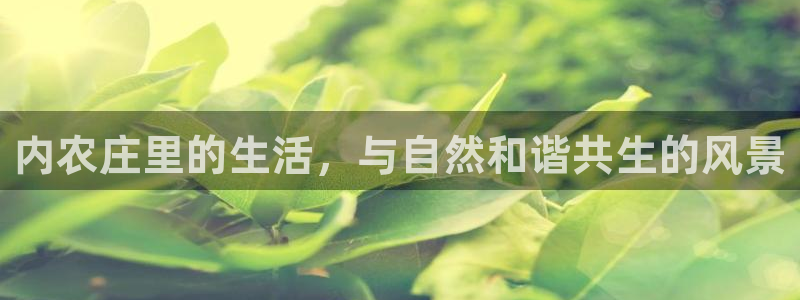 天辰娱乐挂机