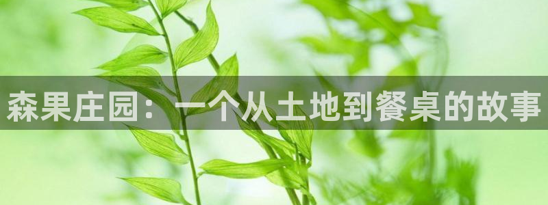 徐州天辰娱乐