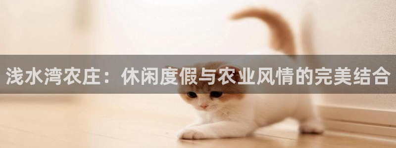 天辰娱乐60447