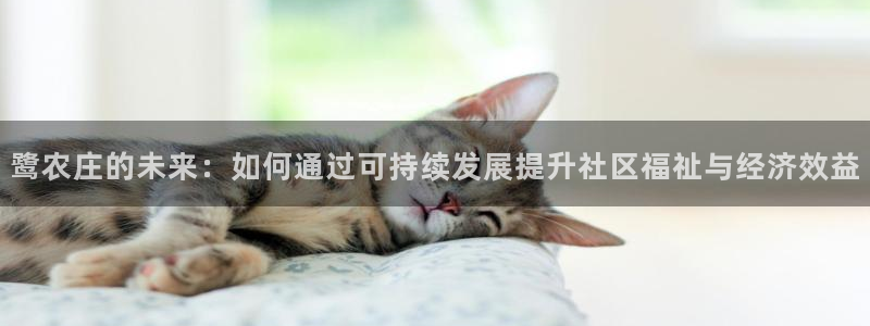 天辰娱乐信誉
