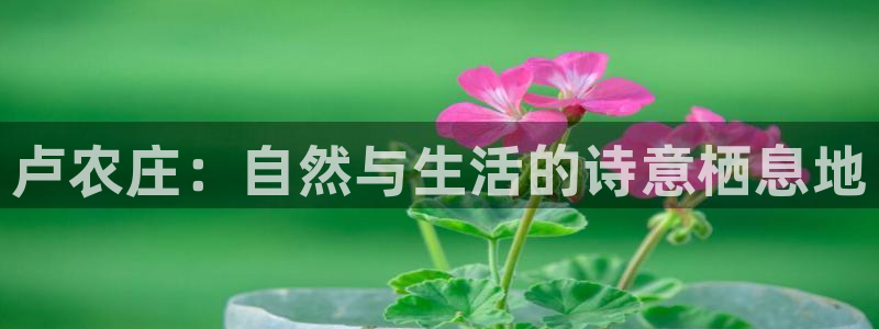 天辰娱乐957807