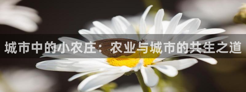 天辰娱乐客服