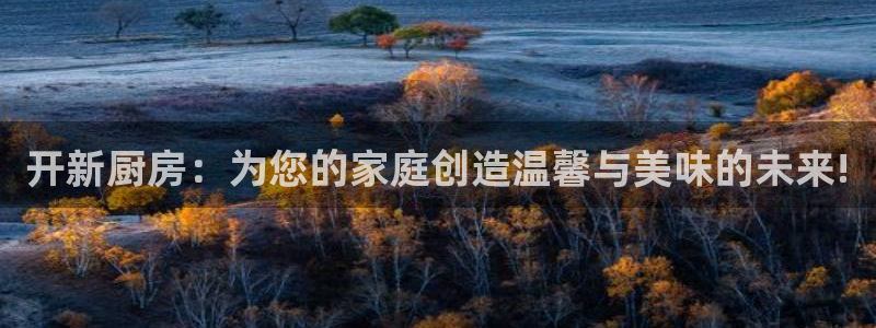 nba天辰娱乐