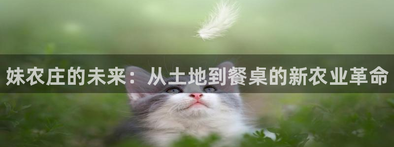天辰娱乐下载