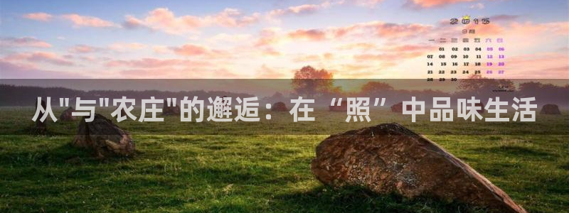 天辰娱乐557696