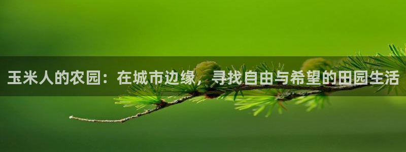 天辰娱乐软件