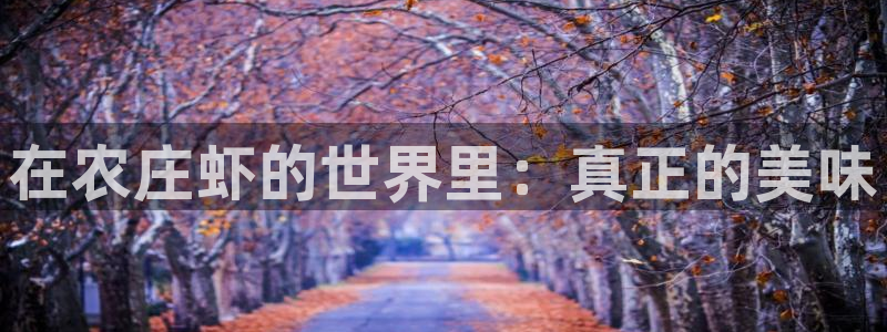 天辰娱乐39974神