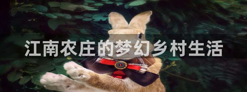 天辰娱乐 qq