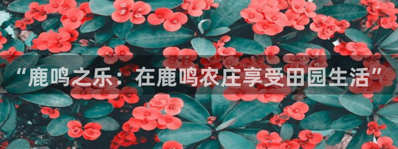 天辰娱乐登陆平台