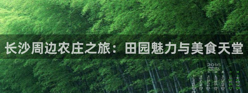 天辰娱乐扣钱