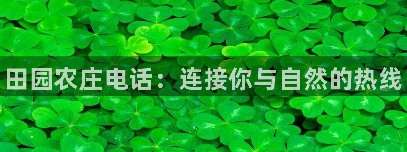 天辰娱乐小姐