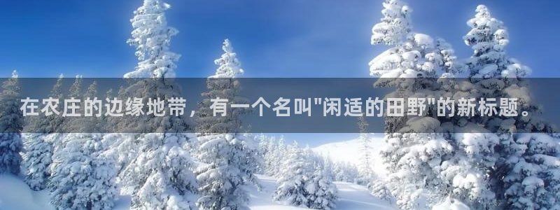 大同天辰娱乐