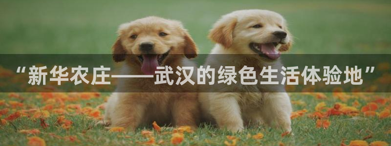 天辰水娱乐