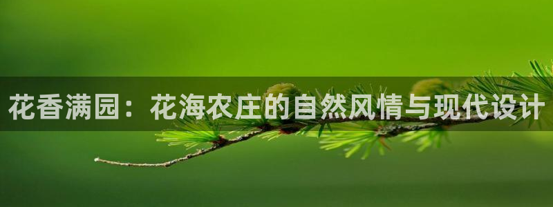 天辰娱乐游戏平台怎么样