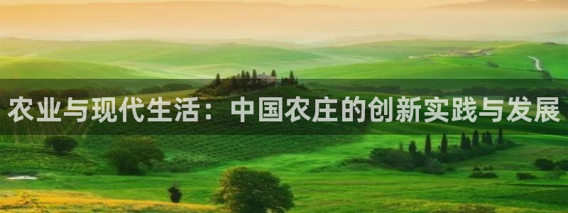 天辰娱乐总管