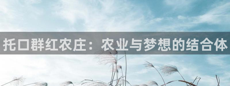 天辰娱乐上级