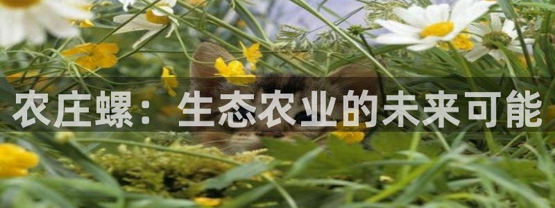 天辰娱乐指定