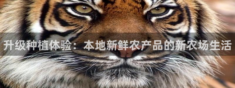 天辰娱乐信誉