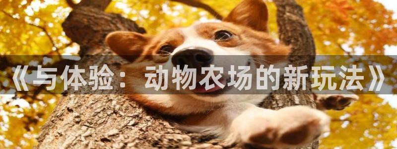 天辰app娱乐