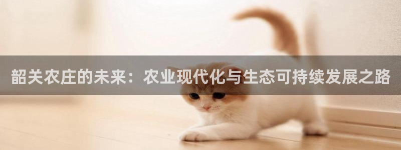 天辰娱乐557696