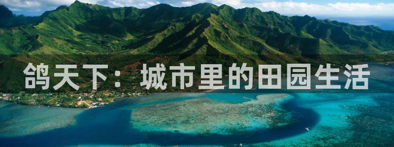 天辰娱乐51137