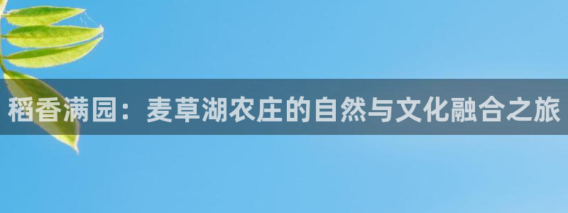 天辰娱乐平台