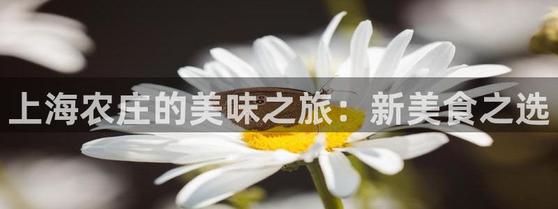 天辰彩票娱乐