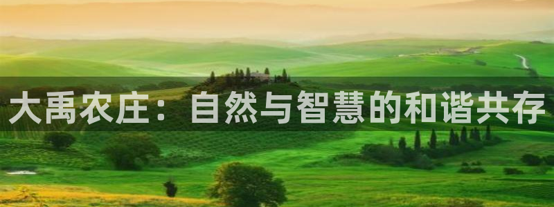 天辰娱乐总管年薪