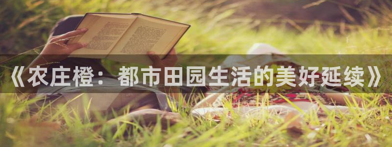 天辰娱乐官