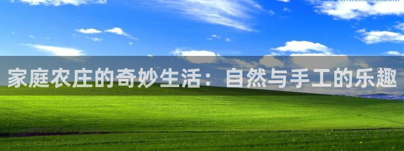 天辰娱乐赌博